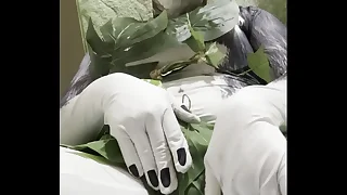 256 furry porn videos